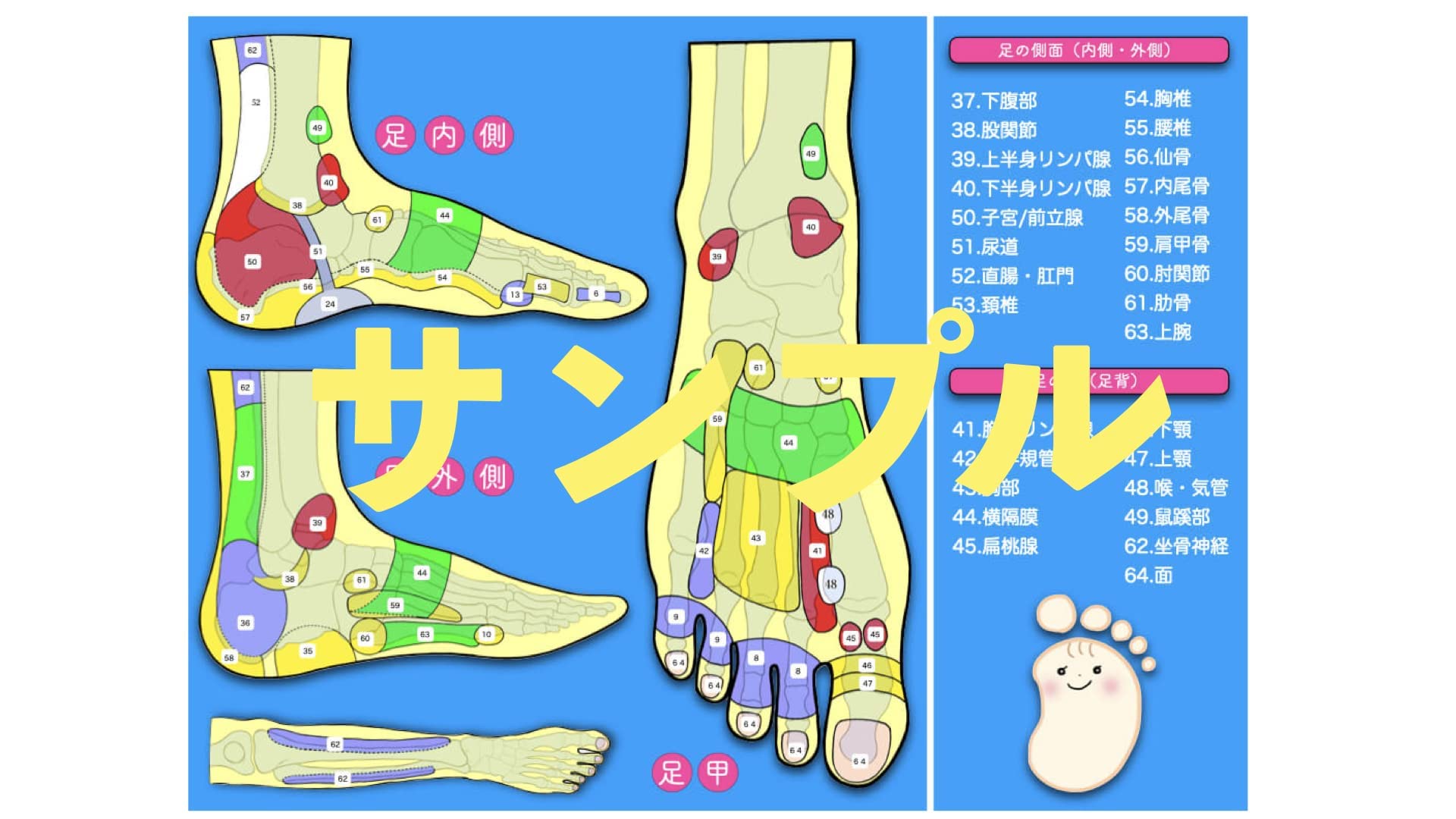 Amazon.co.jp: 【日本製 足つぼ 3点セット】ツボ押し棒 ＋ 足裏